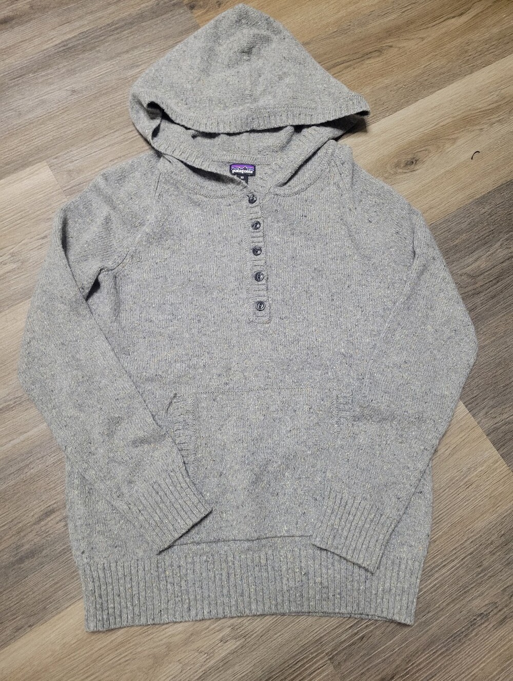 Patagonia  Light Gray Hooded Sweater